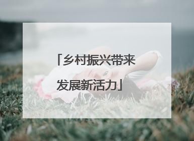 乡村振兴带来发展新活力