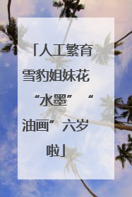 人工繁育雪豹姐妹花“水墨”“油画”六岁啦