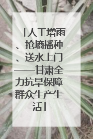 人工增雨、抢墒播种、送水上门——甘肃全力抗旱保障群众生产生活
