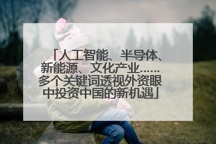 人工智能、半导体、新能源、文化产业……多个关键词透视外资眼中投资中国的新机遇