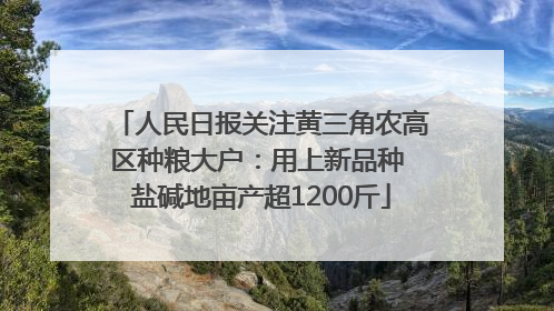 人民日报关注黄三角农高区种粮大户：用上新品种 盐碱地亩产超1200斤