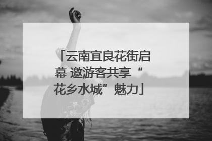 云南宜良花街启幕 邀游客共享“花乡水城”魅力