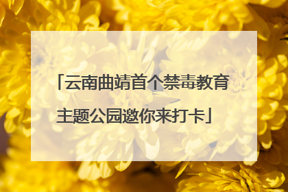 云南曲靖首个禁毒教育主题公园邀你来打卡