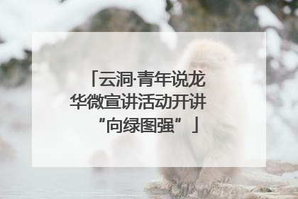 云洞·青年说龙华微宣讲活动开讲“向绿图强”
