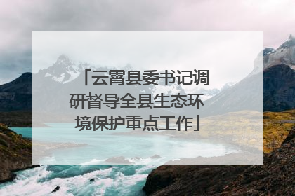 云霄县委书记调研督导全县生态环境保护重点工作