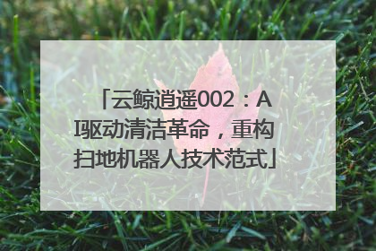 云鲸逍遥002：AI驱动清洁革命，重构扫地机器人技术范式