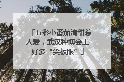 五彩小番茄清甜惹人爱，武汉种博会上好多“尖板眼”