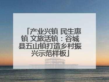 产业兴镇 民生惠镇 文旅活镇：谷城县五山镇打造乡村振兴示范样板