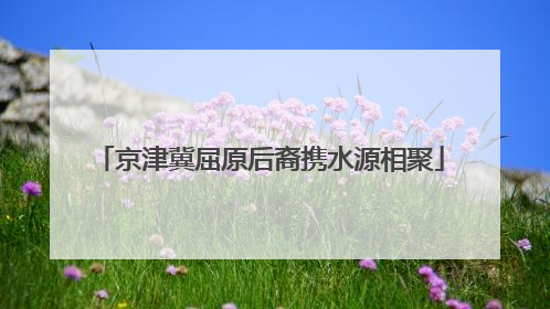 京津冀屈原后裔携水源相聚