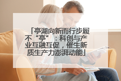 亭湖向新而行步履不“亭”：科创与产业互融互促，催生新质生产力澎湃动能