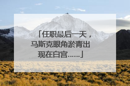 任职最后一天，马斯克眼角淤青出现在白宫……