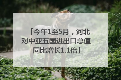 今年1至5月，河北对中亚五国进出口总值同比增长1.1倍