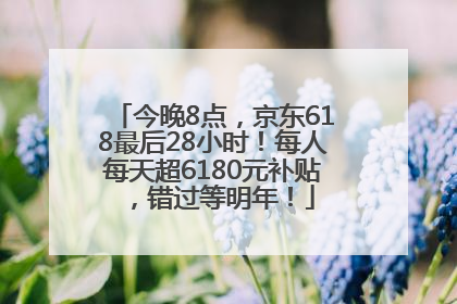 今晚8点，京东618最后28小时！每人每天超6180元补贴，错过等明年！