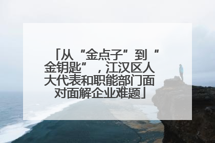 从“金点子”到“金钥匙”,江汉区人大代表和职能部门面对面解企业难题