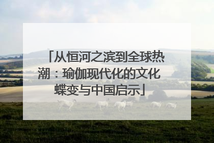 从恒河之滨到全球热潮：瑜伽现代化的文化蝶变与中国启示
