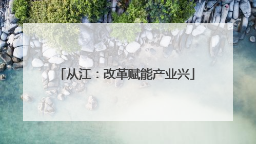 从江：改革赋能产业兴
