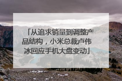 从追求销量到调整产品结构，小米总裁卢伟冰回应手机大盘变动
