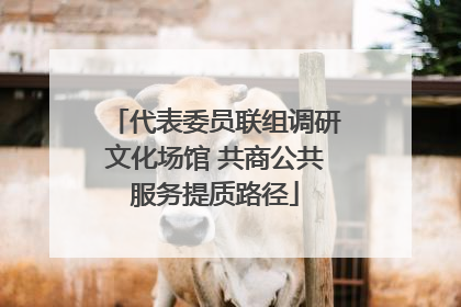 代表委员联组调研文化场馆 共商公共服务提质路径