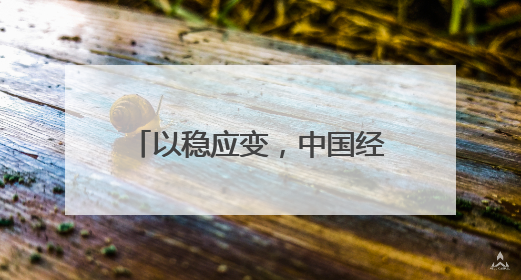 以稳应变，中国经济展现韧性与潜力