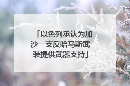 以色列承认为加沙一支反哈马斯武装提供武器支持