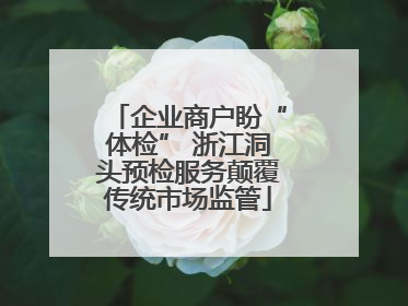 企业商户盼“体检” 浙江洞头预检服务颠覆传统市场监管