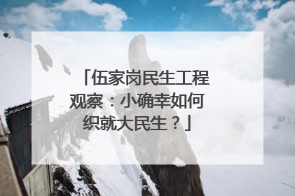 伍家岗民生工程观察：小确幸如何织就大民生？