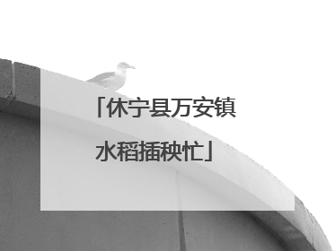 休宁县万安镇水稻插秧忙