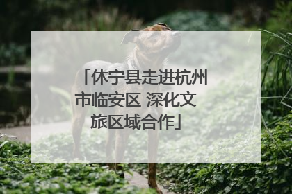 休宁县走进杭州市临安区 深化文旅区域合作