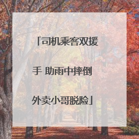 司机乘客双援手 助雨中摔倒外卖小哥脱险