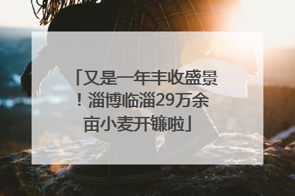 又是一年丰收盛景！淄博临淄29万余亩小麦开镰啦