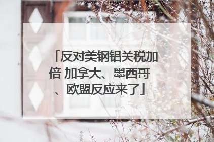 反对美钢铝关税加倍 加拿大、墨西哥、欧盟反应来了