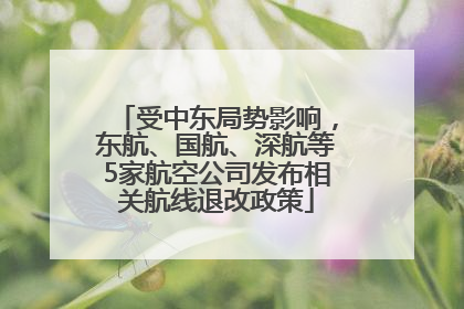 受中东局势影响，东航、国航、深航等5家航空公司发布相关航线退改政策