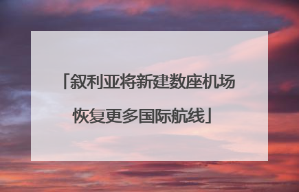 叙利亚将新建数座机场 恢复更多国际航线