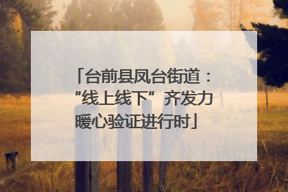 台前县凤台街道：“线上线下”齐发力 暖心验证进行时