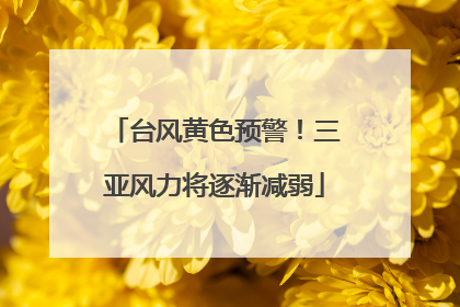 台风黄色预警！三亚风力将逐渐减弱