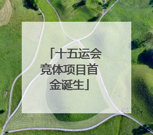 十五运会竞体项目首金诞生