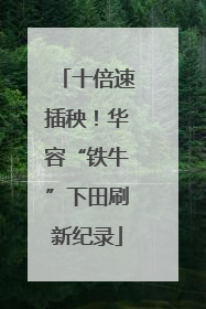 十倍速插秧！华容“铁牛”下田刷新纪录