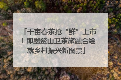 千亩春茶抢“鲜”上市！即墨鳌山卫茶旅融合绘就乡村振兴新图景