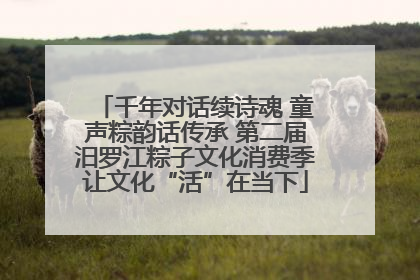 千年对话续诗魂 童声粽韵话传承 第二届汨罗江粽子文化消费季让文化“活”在当下