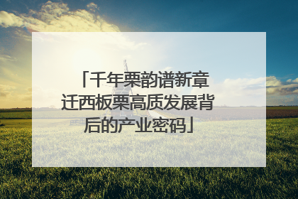 千年栗韵谱新章 迁西板栗高质发展背后的产业密码