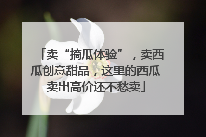卖“摘瓜体验”，卖西瓜创意甜品，这里的西瓜卖出高价还不愁卖