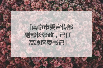 南京市委宣传部副部长张政，已任高淳区委书记