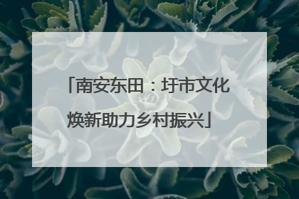 南安东田：圩市文化焕新助力乡村振兴