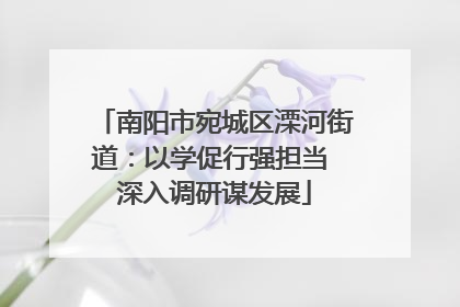 南阳市宛城区溧河街道：以学促行强担当 深入调研谋发展