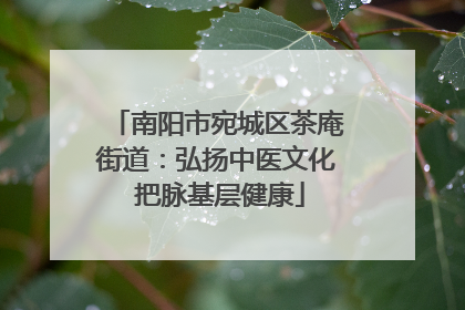 南阳市宛城区茶庵街道：弘扬中医文化 把脉基层健康