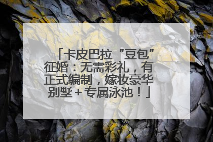 卡皮巴拉“豆包”征婚：无需彩礼，有正式编制，嫁妆豪华别墅＋专属泳池！
