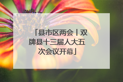 县市区两会丨双牌县十三届人大五次会议开幕