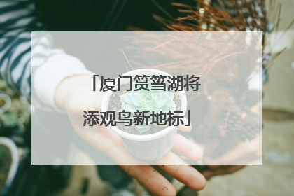 厦门筼筜湖将添观鸟新地标