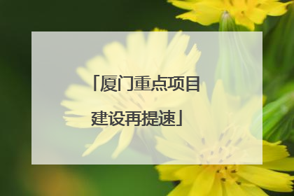 厦门重点项目建设再提速