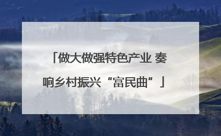 做大做强特色产业 奏响乡村振兴“富民曲”